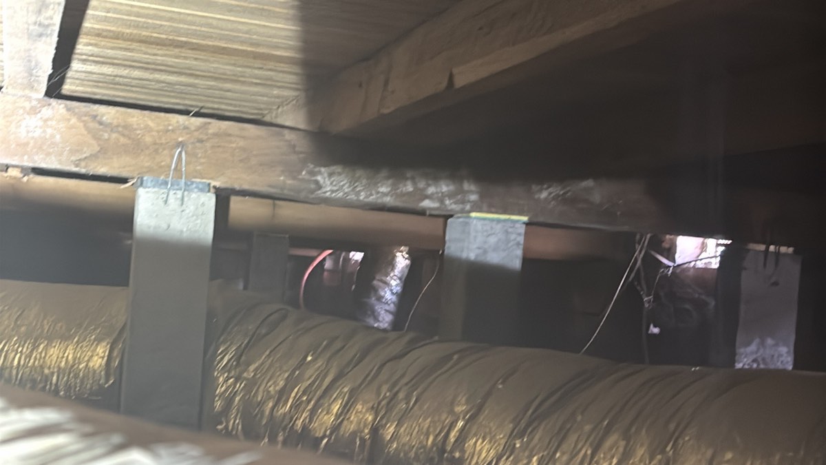 Breaching and bridging of termite barriers, recorded on a building and pest inspection in Craigieburn